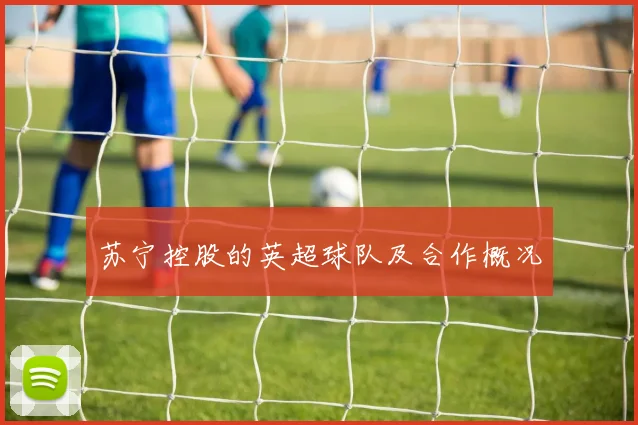 苏宁控股的英超球队及合作概况