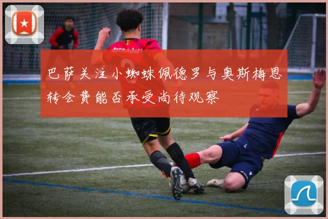 巴萨关注小蜘蛛佩德罗与奥斯梅恩转会费能否承受尚待观察