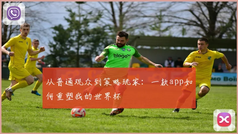 从普通观众到策略玩家：一款app如何重塑我的世界杯